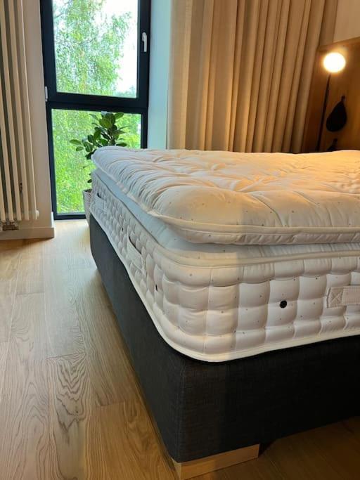 Lovely Apartment By The Sea. Ķesterciems Exteriör bild