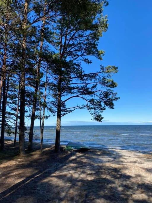 Lovely Apartment By The Sea. Ķesterciems Exteriör bild